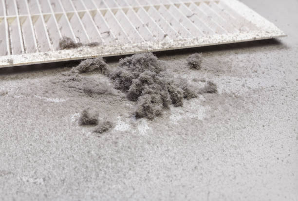 Best Local Air Duct Cleaning Services  in Taylor Creek, OH