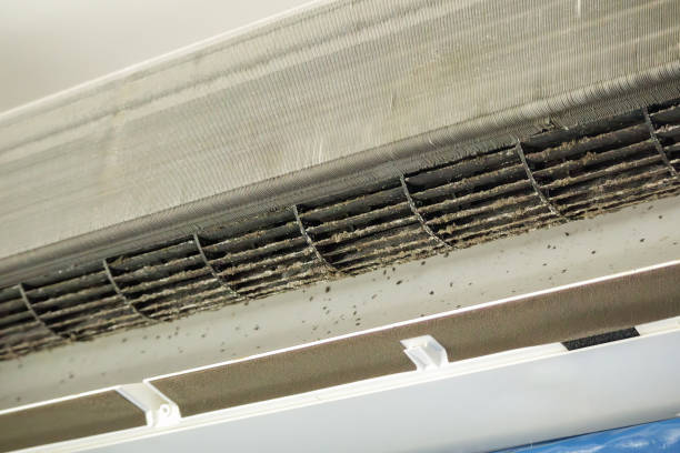 Best Best Air Duct Cleaning Near Me  in Taylor Creek, OH