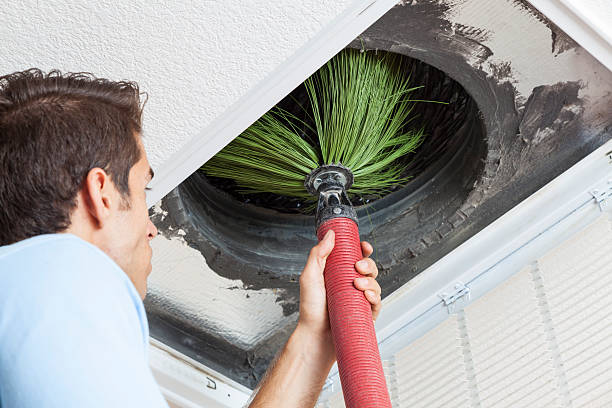 Best Air Duct Cleaning Near Me  in Taylor Creek, OH