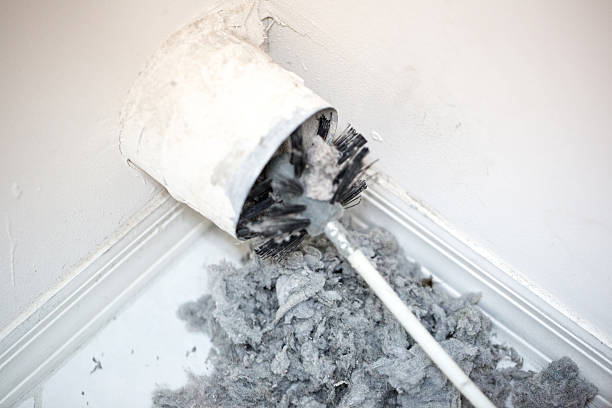 Best HVAC Maintenance and Cleaning  in Taylor Creek, OH